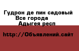 Гудрон де пин садовый - Все города  »    . Адыгея респ.